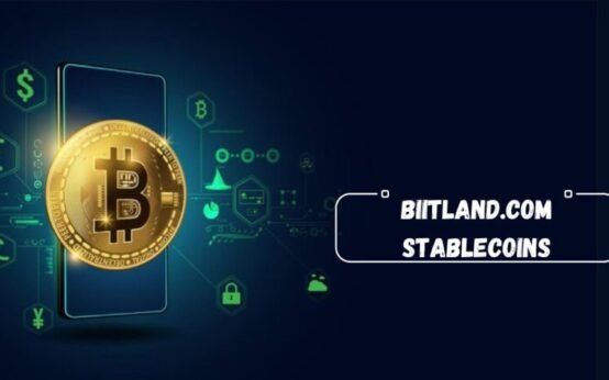 Biitland.com Stablecoins